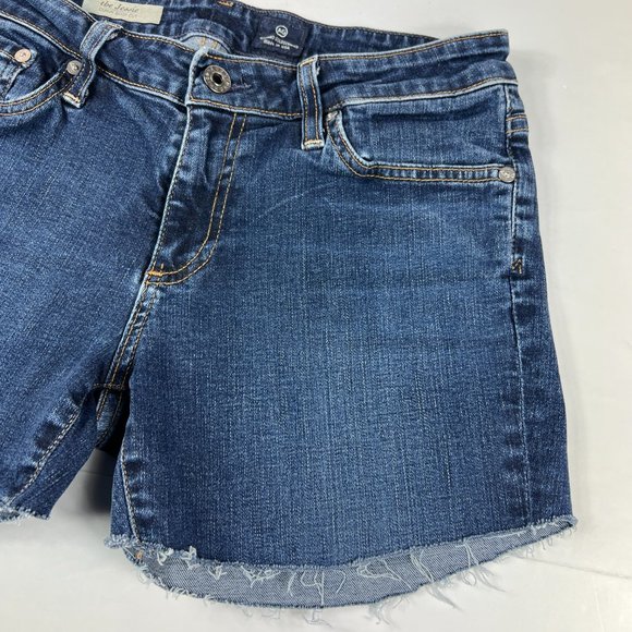 AG Adriano Goldschmied - Picture 4 of 15